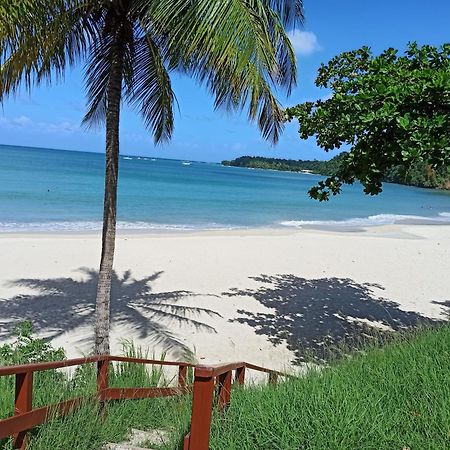 F3 Au Calme Vue Sur Mer 2 Chambres Balcon Terrasse La Trinite Exterior photo
